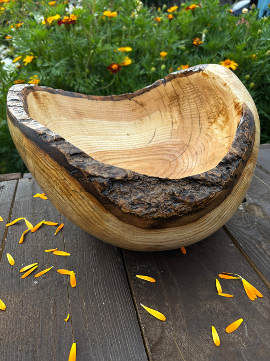 The Bark Crown