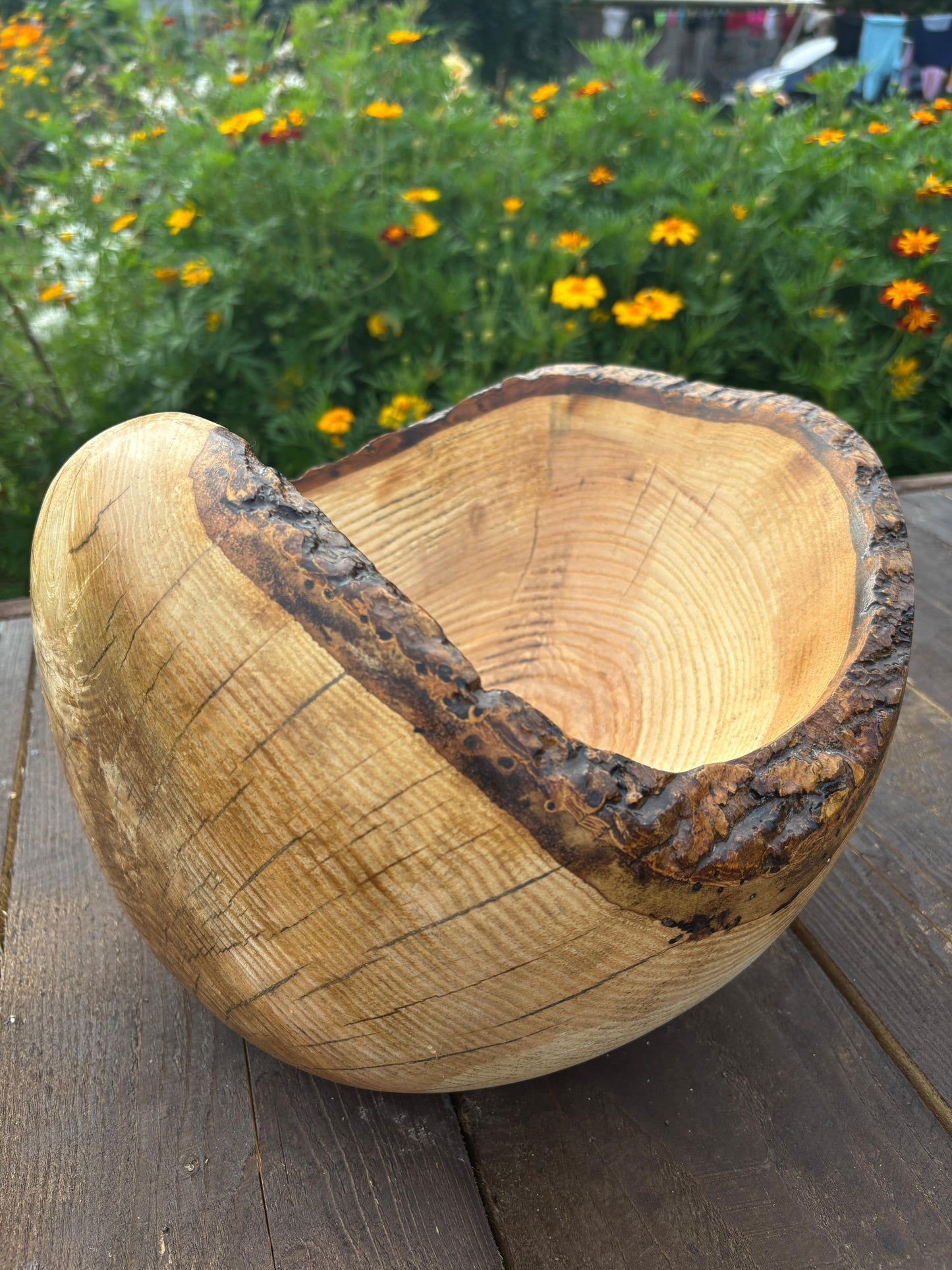 The Bark Crown