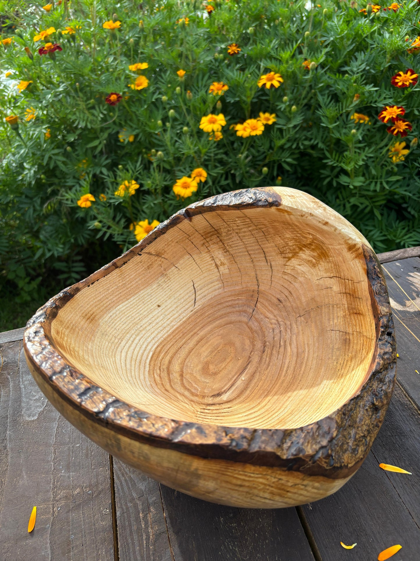 The Bark Crown