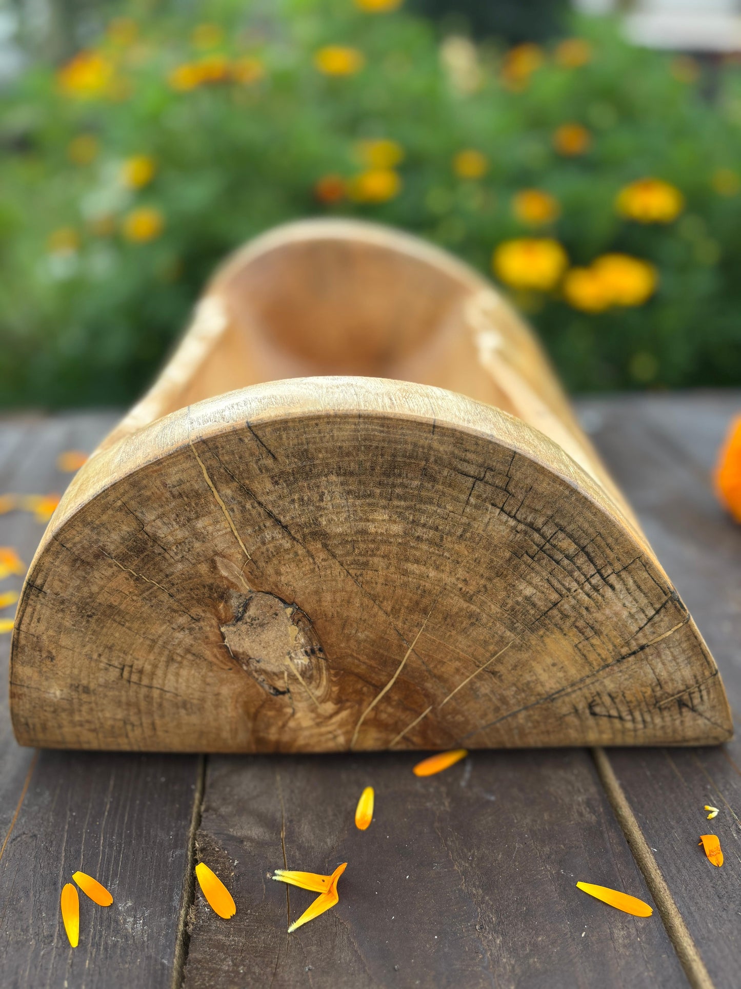Bread of the Spirit