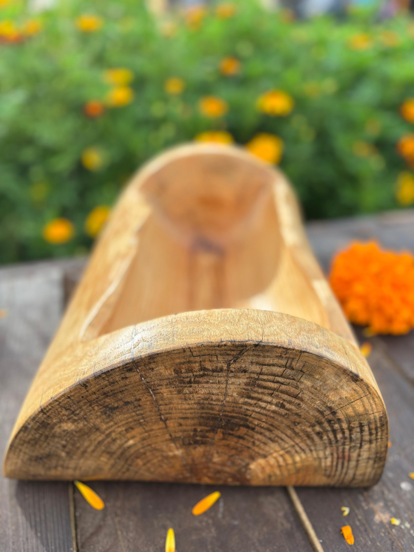 Bread of the Spirit